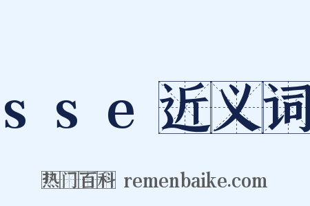 sse近义词是什么意思的图片